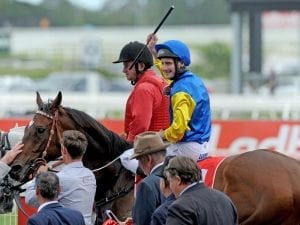 Black Heart Bart pleases in Terang exhibition gallop
