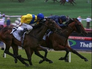 Long Leaf to begin Blue Diamond Stakes path in Caulfield Preview