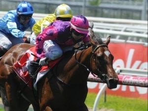 Lady Horseowner on track for Blue Diamond Stakes start