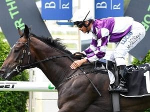 Tony Gollan-trained Ef Troop &  to target Slipper