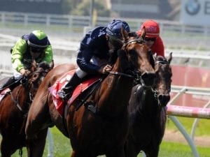 Another Blue Diamond in sight for Lindsay Park with Long Leaf
