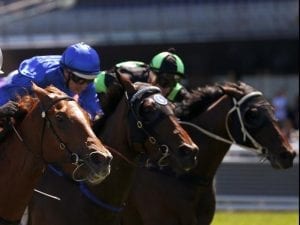 Gamblestown on quick seven day back up at Randwick