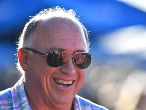 Love And Rock It firms in Magic Millions Maiden calculations