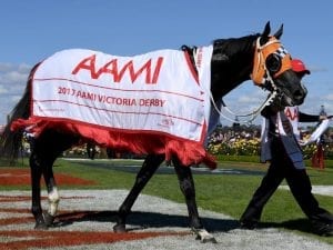 Ace High ready to return in wfa Expressway Stakes sprint