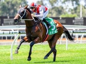 Scream Park will still head toward Karaka Million 3yo Classic