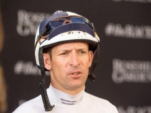 Winx pleases Bowman in barrier trial