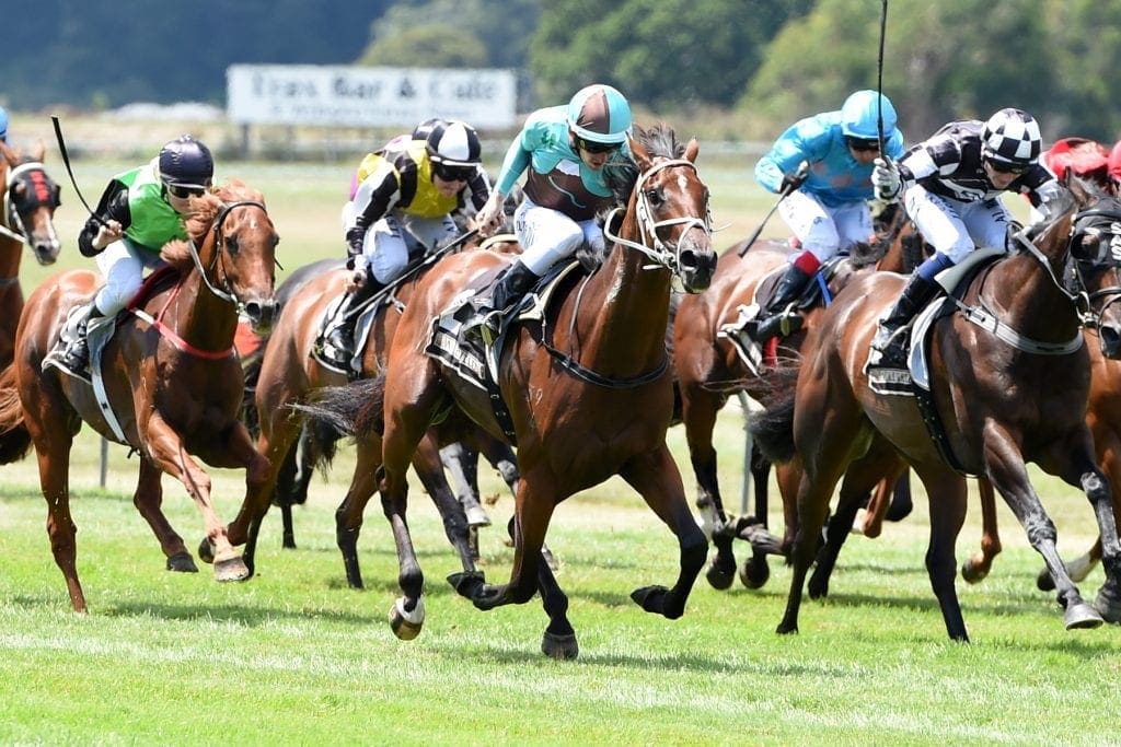 Irish Flame keeps G1 New Zealand Derby with Trentham win Horse Betting