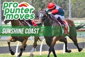 Sunshine Coast market movers, Friday January 5