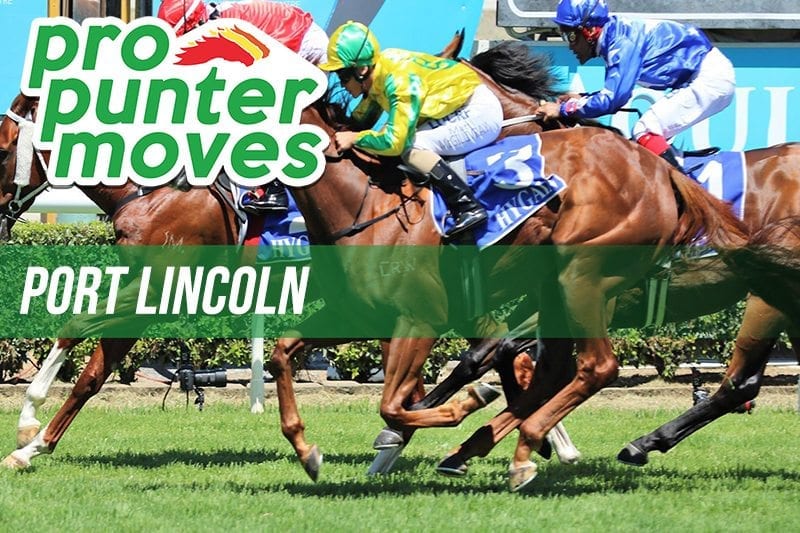 Port Lincoln tips and best bets for January 10, 2020