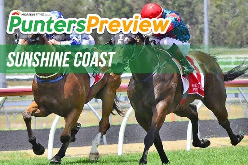 Sunshine Coast form, odds and free tips, Sunday Horse Betting