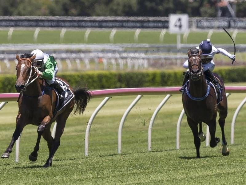 Estijaab wins at Randwick