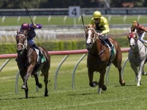 Trainer Danny Williams claims quinella in Highway Hcp