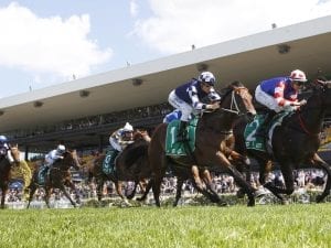 Single Bullet and Pure Rebel for Rosehill