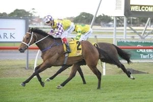 Sacred Master winning the Newcastle Cup