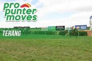 Terang market movers for Thursday, March 1
