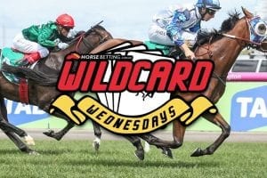 Wildcard Wednesday roughie bets for February 7