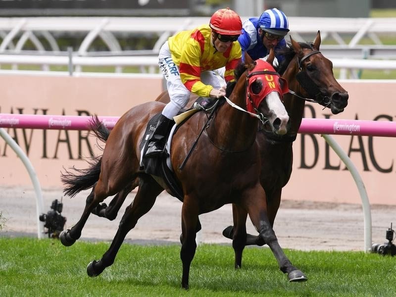 Prairie Fire is one of the main chances in the Blue Diamond Stakes.