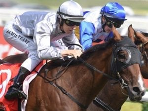 Bedford lands another win at Caulfield