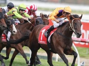 Hawkes Racing quinella in Zeditave Stakes