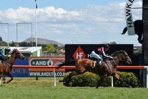 Dama Zorro records strong win at Hastings