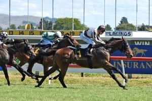 Excalibur on track for 2018 Group 1 Auckland Cup