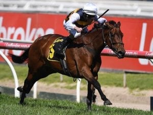 Aaron Purcell content with Aloisia's progress