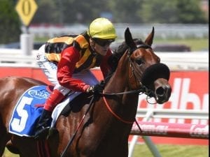 Riders confirmed for Blue Diamond fancies
