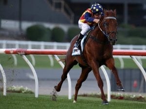 Nature Strip to clash with She Will Reign at Warwick Farm