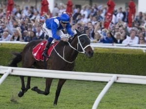 Possible 12 rivals for Winx at Randwick