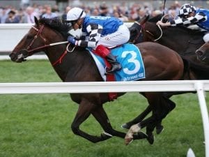 Newmarket a possibility for Brave Smash