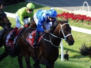 Winx on show at Randwick after all