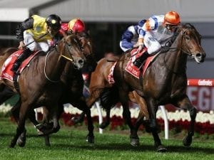 Hey Doc ready for first-up Lightning Stakes tilt