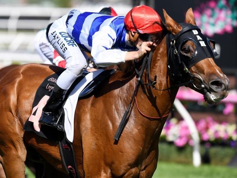 Redkirk Warrior has won the Lightning Stakes.