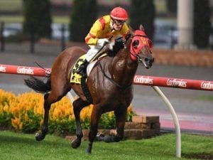 Thronum to step up again in G1 CF Orr Stakes