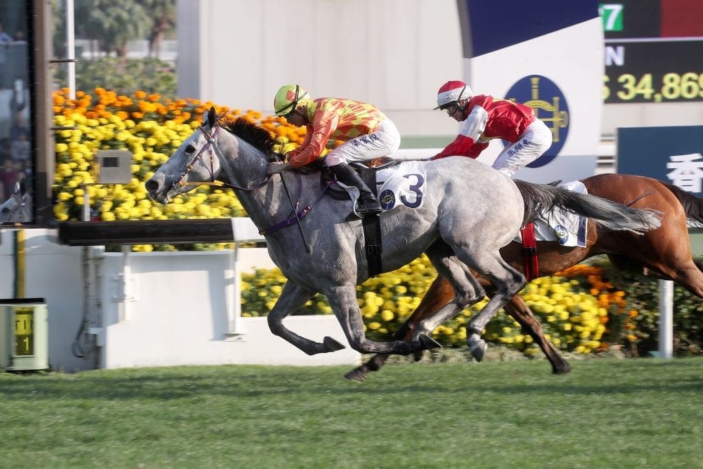 Pingwu Spark Faces G1 Test In Sha Tin's Queen’s Silver Jubilee Cup ...