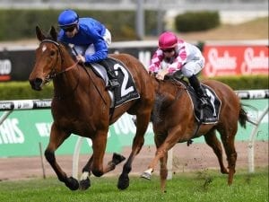 Shumookh up for rematch with Alizee in Surround Stakes