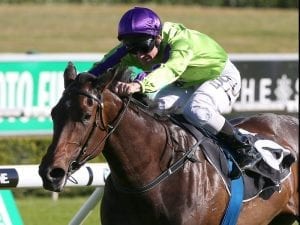 Global Glamour primed for Apollo Stakes