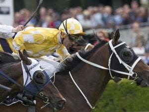Comin' Through can zero in on Doncaster Mile