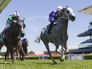 D'Argento to state claim for Guineas