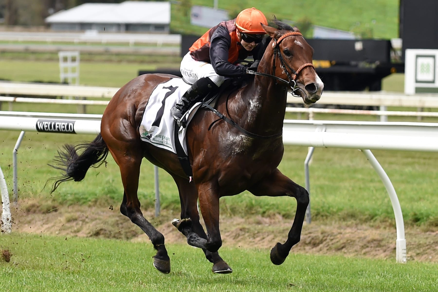 horse betting tips mauritius turf