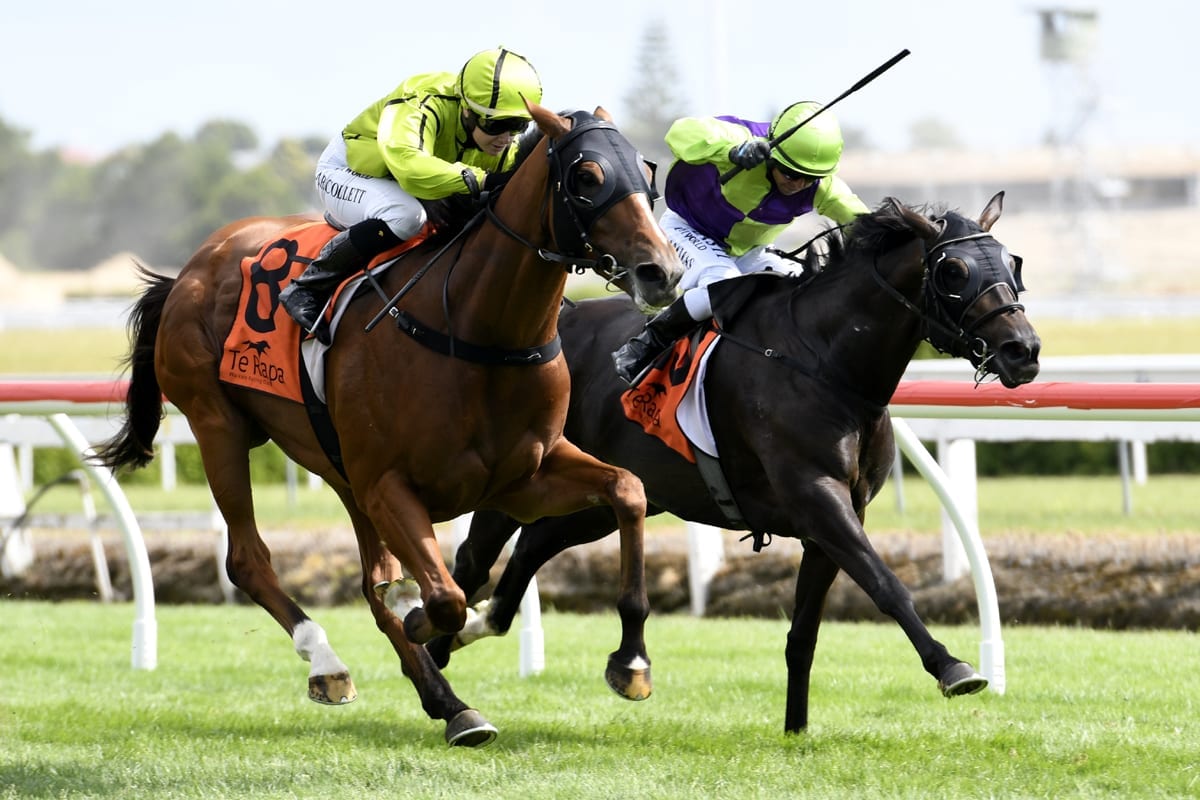 Horse racing betting online australia transit lichello forex
