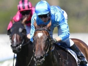 Prompt Response returns a Group Two winner