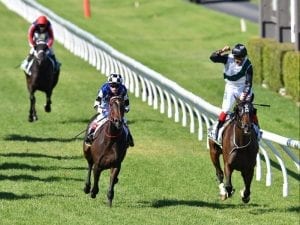 Rails ride gains Fanatic Adelaide Cup win