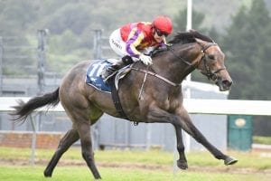 Group 1 runner-up arrives safely in Australia ahead of SA campaign