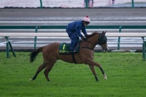 Drier conditions needed for Blizzard deliver his best in Japan