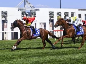 Assimilate powers to Canberra Guineas win