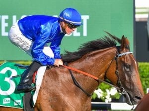 Alizee's Coolmore tilt relies on weather