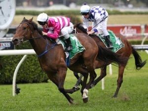 Victorian punter out of luck in $1m ride