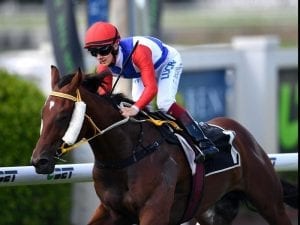 Currie's hustle pays off at Doomben