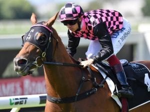Heathcote in perfect day out at Doomben